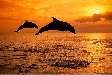 重返哥谭市 GZDoom版《蝙蝠侠：暴乱都市》发布