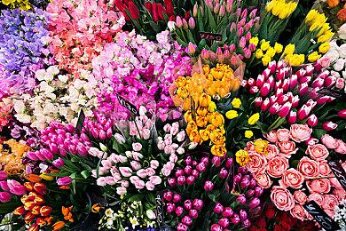 《Necrophosis》Steam试玩发布 异世界风格恐怖探索